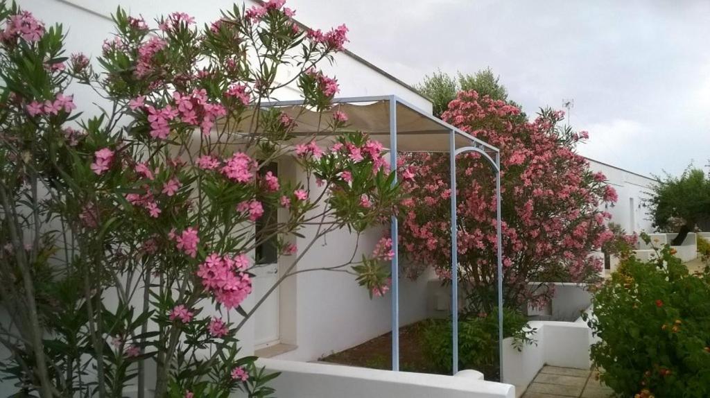 Tenuta De Marco Presicce Luaran gambar